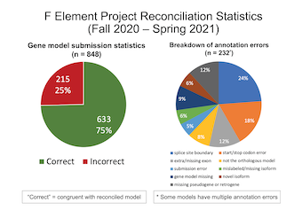 F Element Project Reconciliation Statistics Fall 2020-Spring 2021 Gene model submission statistics: reconciled 848 gene models; approximately 75% of the submitted gene models were in congruence with the final gene models. Breakdown of annotation errors (n=232; note: some models have multiple annotation errors): The most common annotation error in the submitted gene models is the selection of incorrect splice site boundaries (24%) followed by start/stop codon error (18%), extra/missing exon (12%), missing pseudogene or retrogene (12%), gene model missing (9%), not the orthologous model (8%), mislabeled/missing isoform (6%), novel isoform (6%), and submission error (5%).