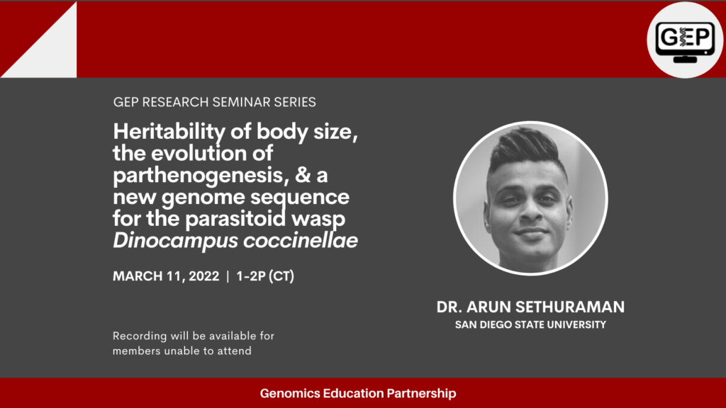 Announcement for the March 2022 GEP Research Seminar Series Dr. Arun Sethuraman from San Diego State University will provide a talk titled “Heritability of body size, the evolution of parthenogenesis, and a new genome sequence for the parasitoid wasp Dinocampus coccinellae” on March 11 at 1-2p (CT). A recording will be available for members that are unable to attend.