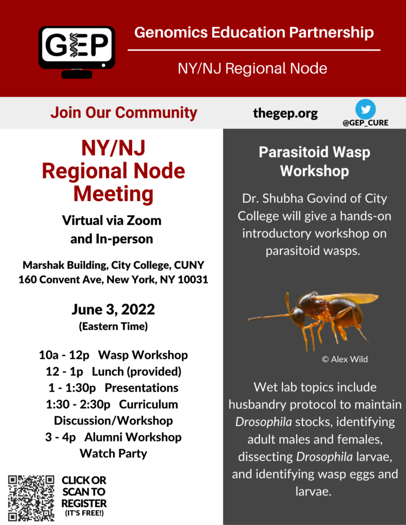 Genomics Education Partnership NY/NJ Regional Node Meeting Virtual via Zoom and in-person Marshak Building, City College, CUNY 160 Convent Ave, New York, NY 10031 June 3, 2022 10a - 12p Wasp Workshop 12 - 1p Lunch (provided) 1 - 1:30p Student/Faculty Presentations 1:30 - 2:30p Curriculum Discussion/Workshop 3-4p GEP Alumni Workshop Watch Party Parasitoid Wasp Workshop Dr. Shubha Govind of City College will give a hands-on introductory workshop on parasitoid wasps. Wet lab topics include husbandry protocol to maintain Drosophila stocks, identifying adult males and females, dissecting Drosophila larvae, and identifying wasp eggs and larvae. Complete the Qualtrics survey at the following link to register https://universityofalabama.az1.qualtrics.com/jfe/form/SV_5yYlbzTcLh8CkRg