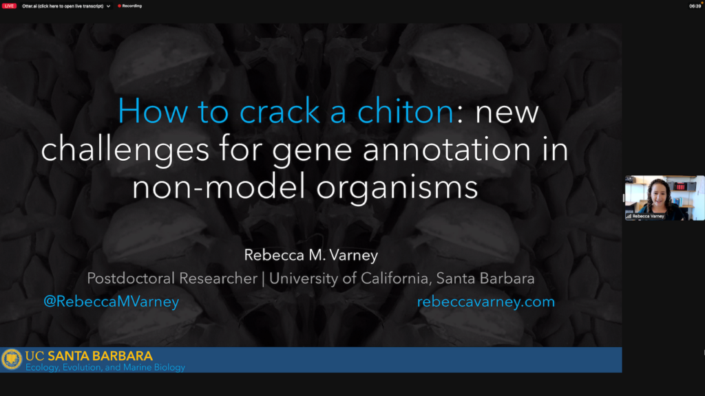 How to crack a chiton: new challenges for gene annotation in non-model organisms Rebecca M. Varney University of California Santa Barabara Postdoc Twitter @RebeccaMVarney website: rebeccavarney.com