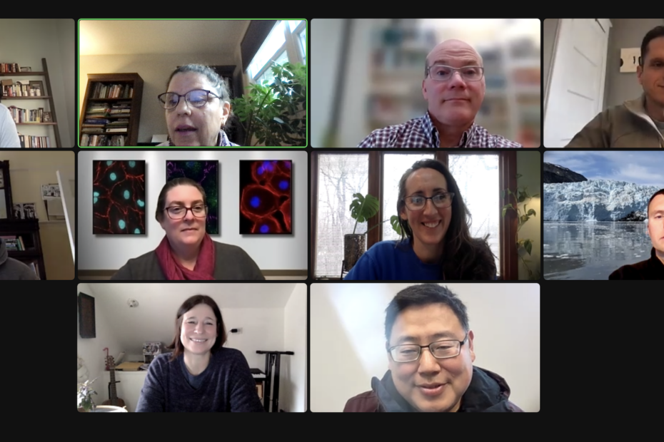 Zoom meeting screenshot of 10 participants