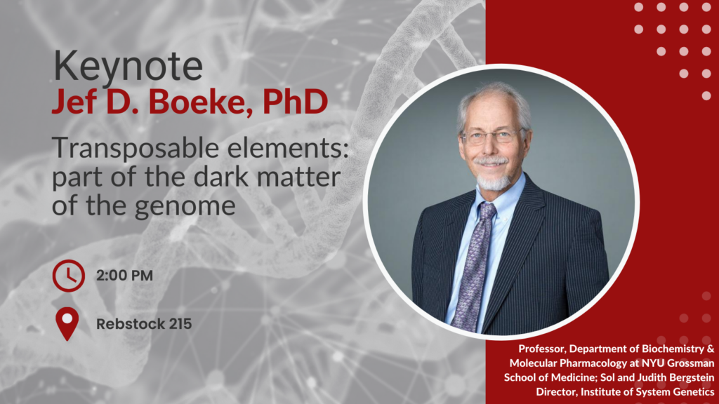 Keynote Jef D Boeke PhD Talk is on Transposable elements: part of the dark matter of the genome At 2pm in Rebstock 215 Dr. Boeke is a Professor in the Department of Biochemistry and Molecular Pharmacology at NYU Grossman School of Medicine and the Sol and Judith Bergstein Director of the Institute of System Genetics