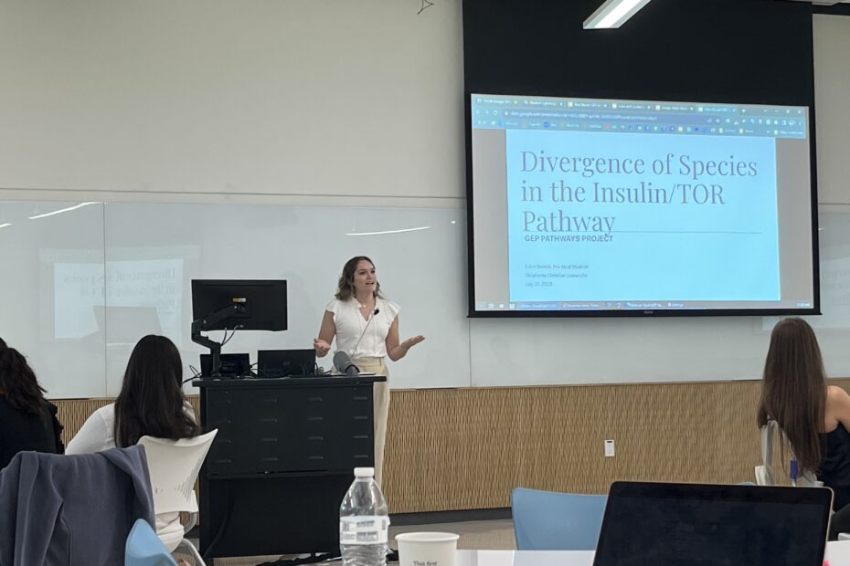 Student presenting on Divergence of Species in the Insulin/TOR Pathway
