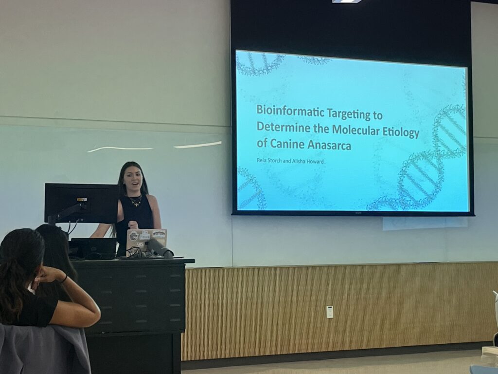 Student presenting on Bioinformatic targeting to determine the molecular etiology of Canine anasarca