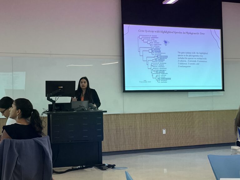 Student presenting on the gene synteny with highlighted species in phylogenetic tree