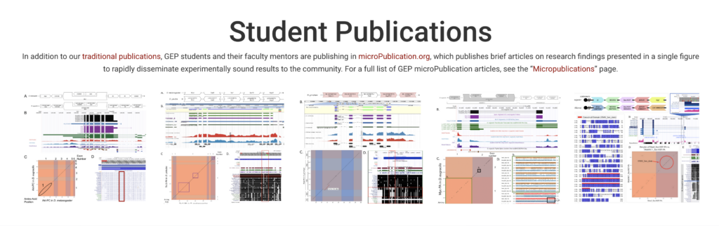 Screenshot of the "Student Publications" section of the GEP website's home page